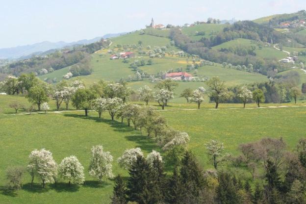 Вилла Dorferhof Weistrach Экстерьер фото